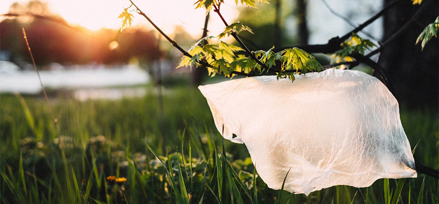 Plastic Waste
